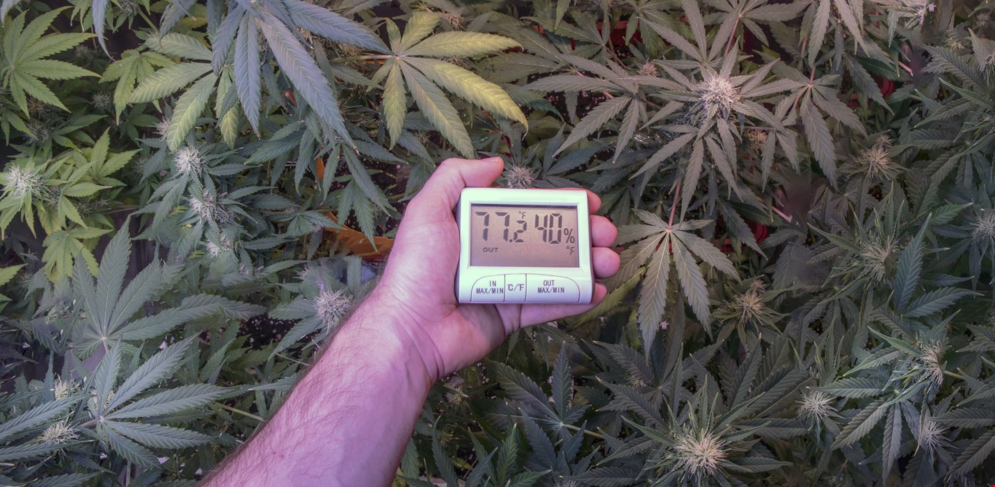 Temporary Climate Control at Each Step of the Cannabis Crop Cycle