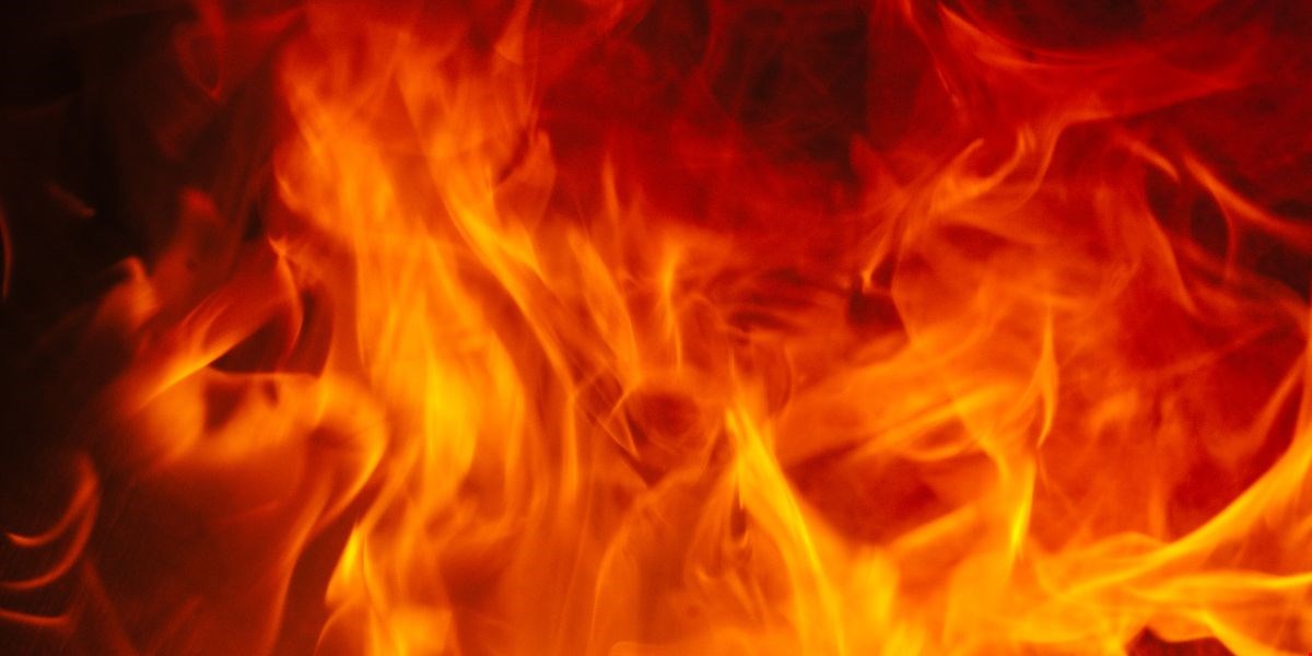 La Sicilia brucia: nel 2025 persi 37 km² di ecosistemi forestali, record nazionale di superficie incendiata