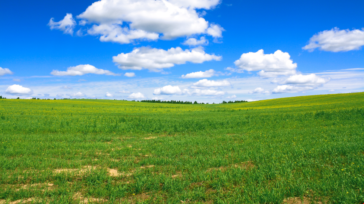 Les sinistres les plus fréquents en été : comment les prévenir et atténuer leurs effets ? 