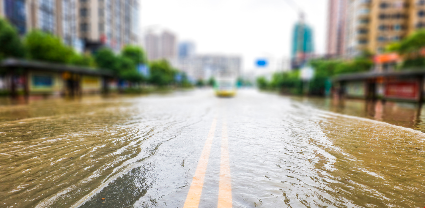 The International Day for Disaster Risk Reduction