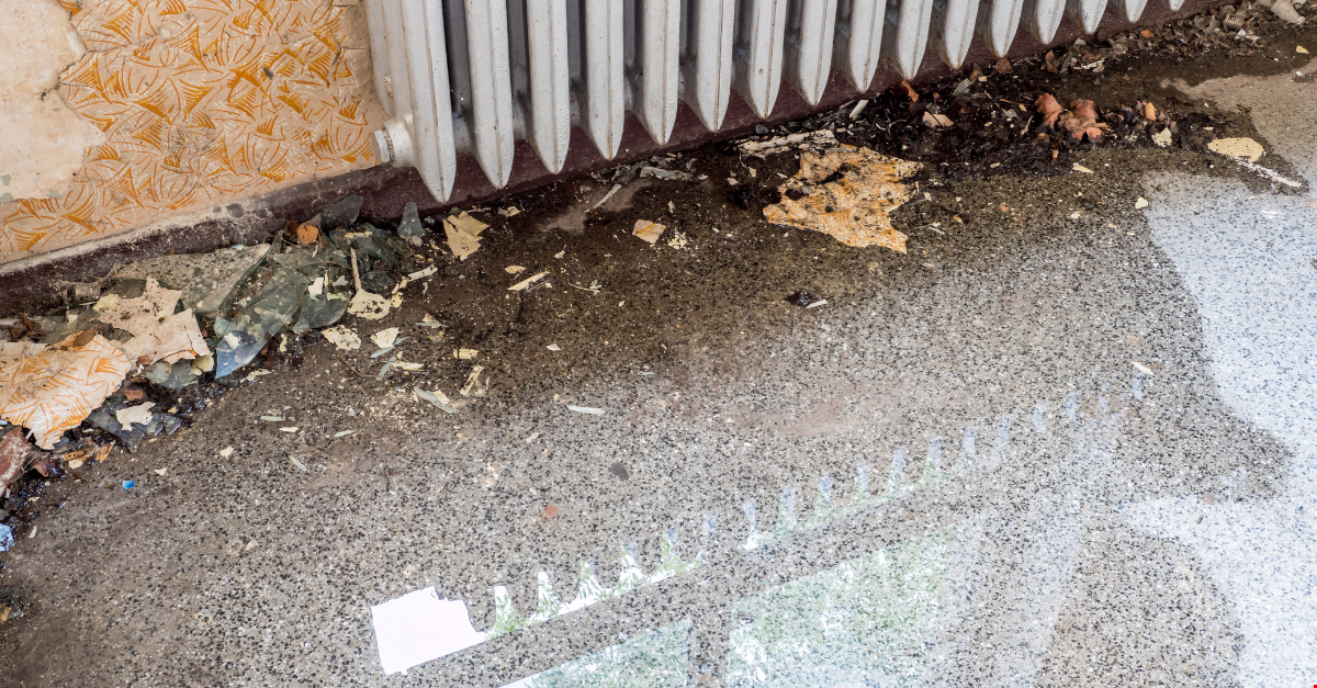 Prévenir les dégâts des eaux en automne : conseils pour protéger votre maison