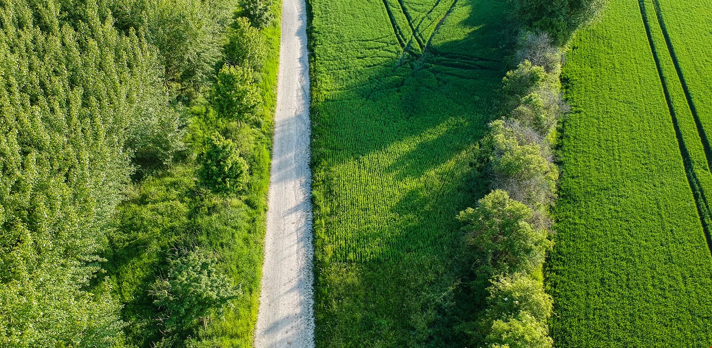 Polygon sustains special Green Status with five-star performance in Achilles audit