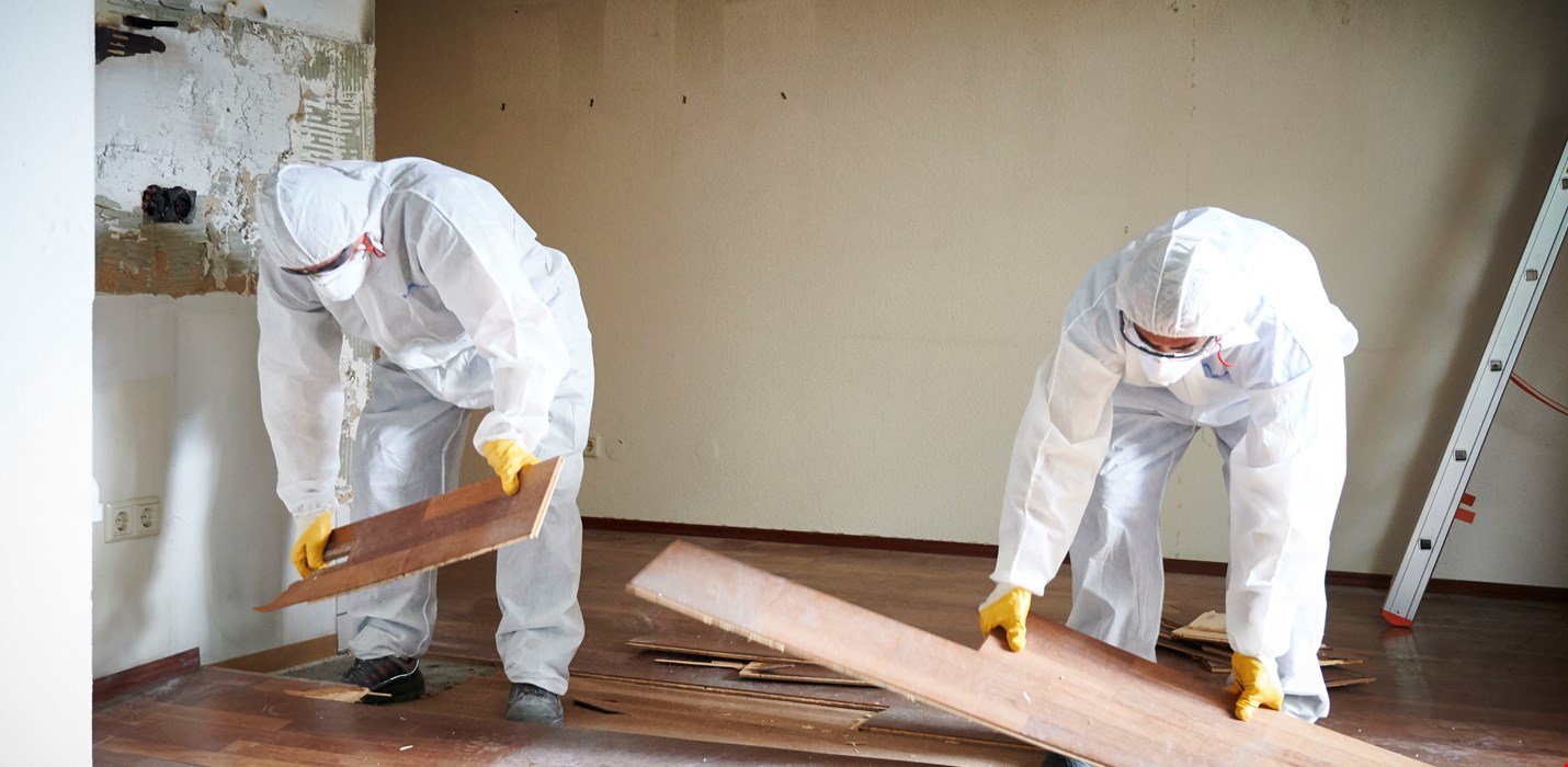 Rénovation après sinistre : Polygon France intervient