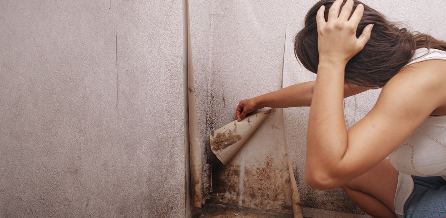 Die JATI PAD Vliesmatte ist die Sofortlösung bei Schimmelschäden