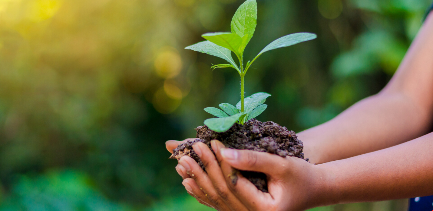 World Environment Day 2022