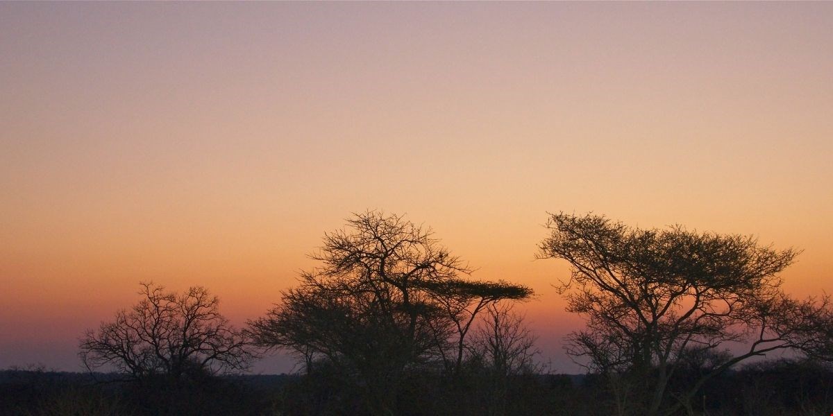 Incendio Devasta un Terzo del Parco Nazionale di Etosha in Namibia