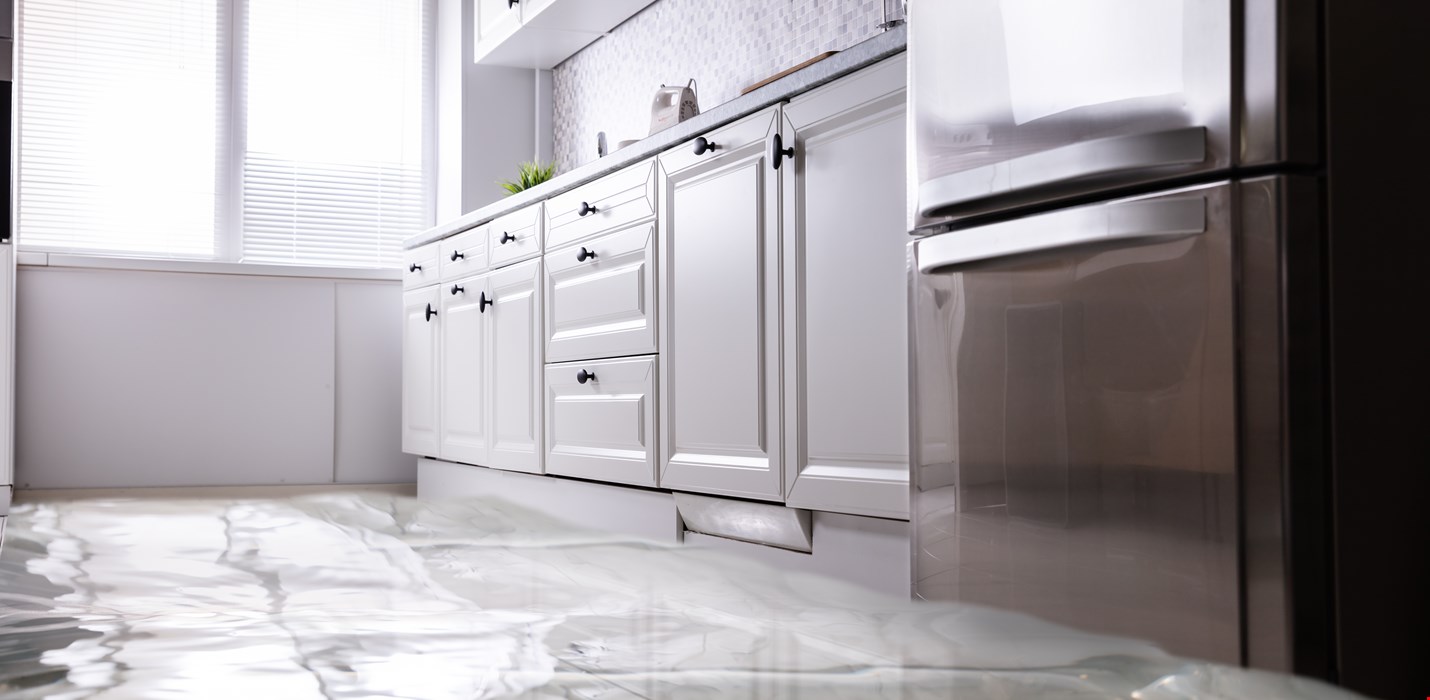 Top tips to keep your Christmas water-damage free