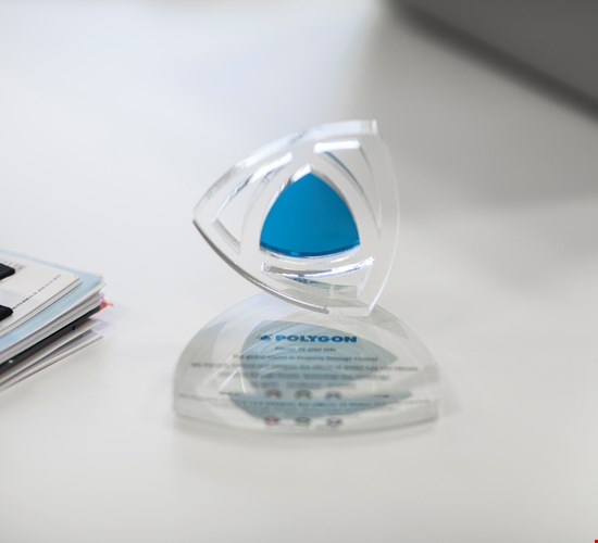 Polygon - selskabsledelse