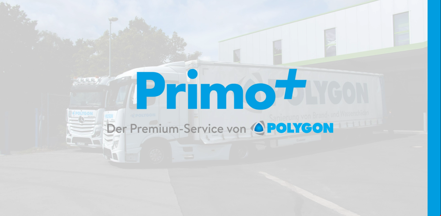 Primo+ goes international – Neue Perspektiven, neues Logo, neuer Film