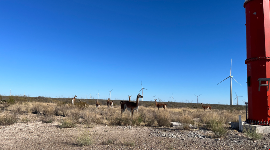 POLYGON Windkraft Service: Eine Reise bis zur südlichsten Stadt der Welt