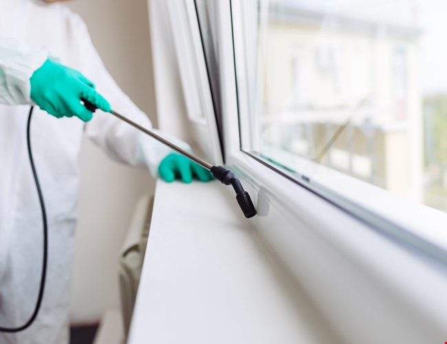 Eine Fensterbank wird mittels Sprühverfahren desinfiziert.