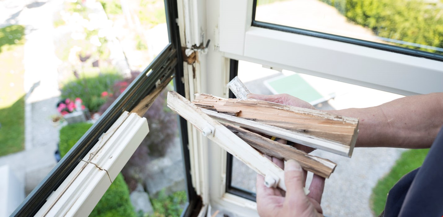 Réparation de fenêtres