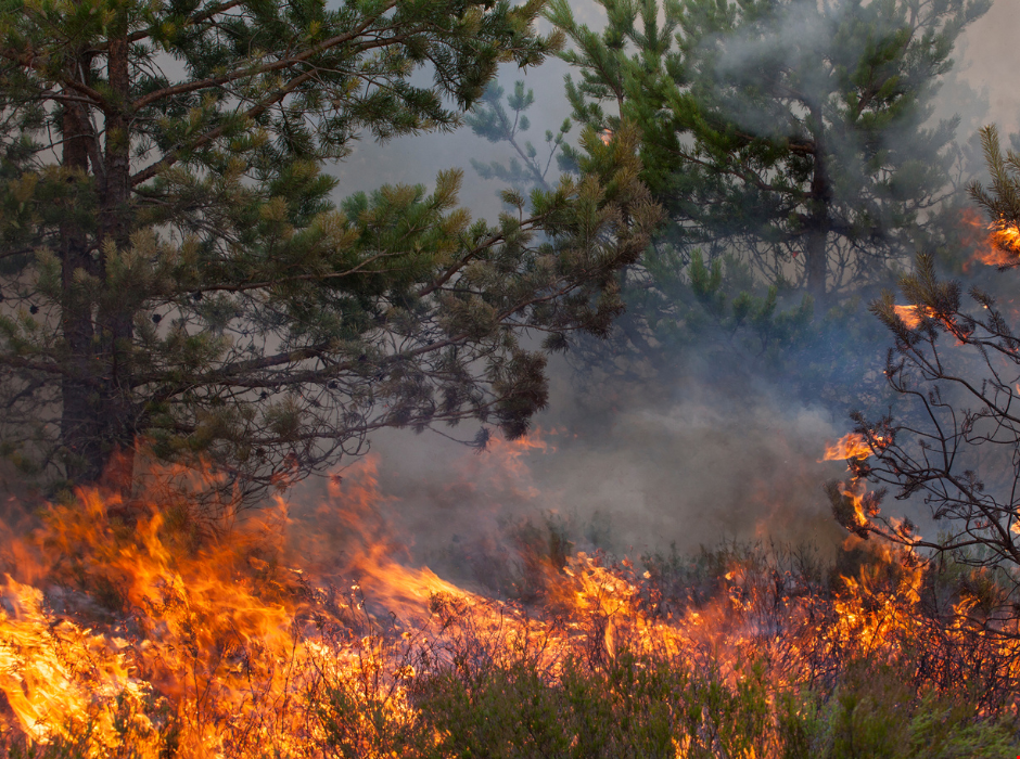 Wildfires on the Rise in the UK