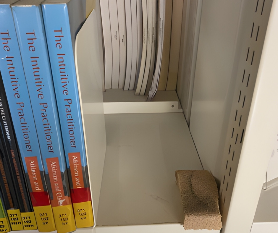 University of Cumbria Documents.jpg