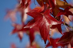 Fire Safety in the Fall & Winter Months