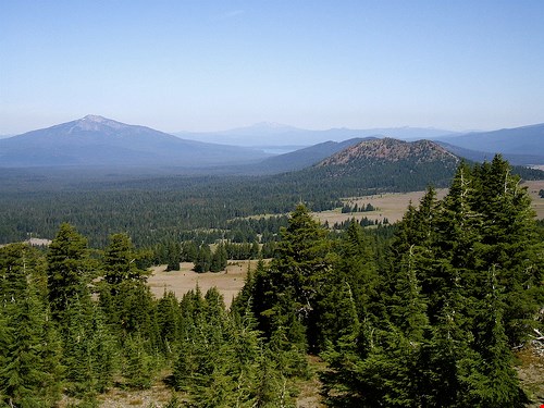 Oregon may be trying to prevent forest fires Obama’s way