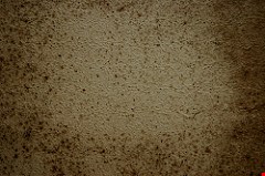 Experience recent water damage? If so, mold may be lurking