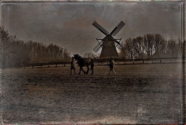 Cold Storage May Be Best for Historic Photographs and Film