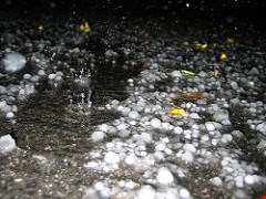 Kewa Pueblo family proves the harmful effects of mold in children and the elderly