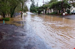 Top Causes of Flood Damaged Documents