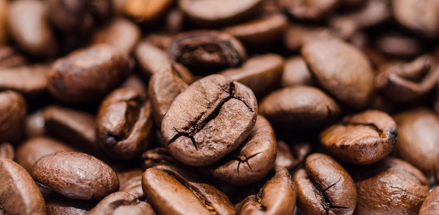 The Importance of Humidity Control in Coffee Storage Facilities