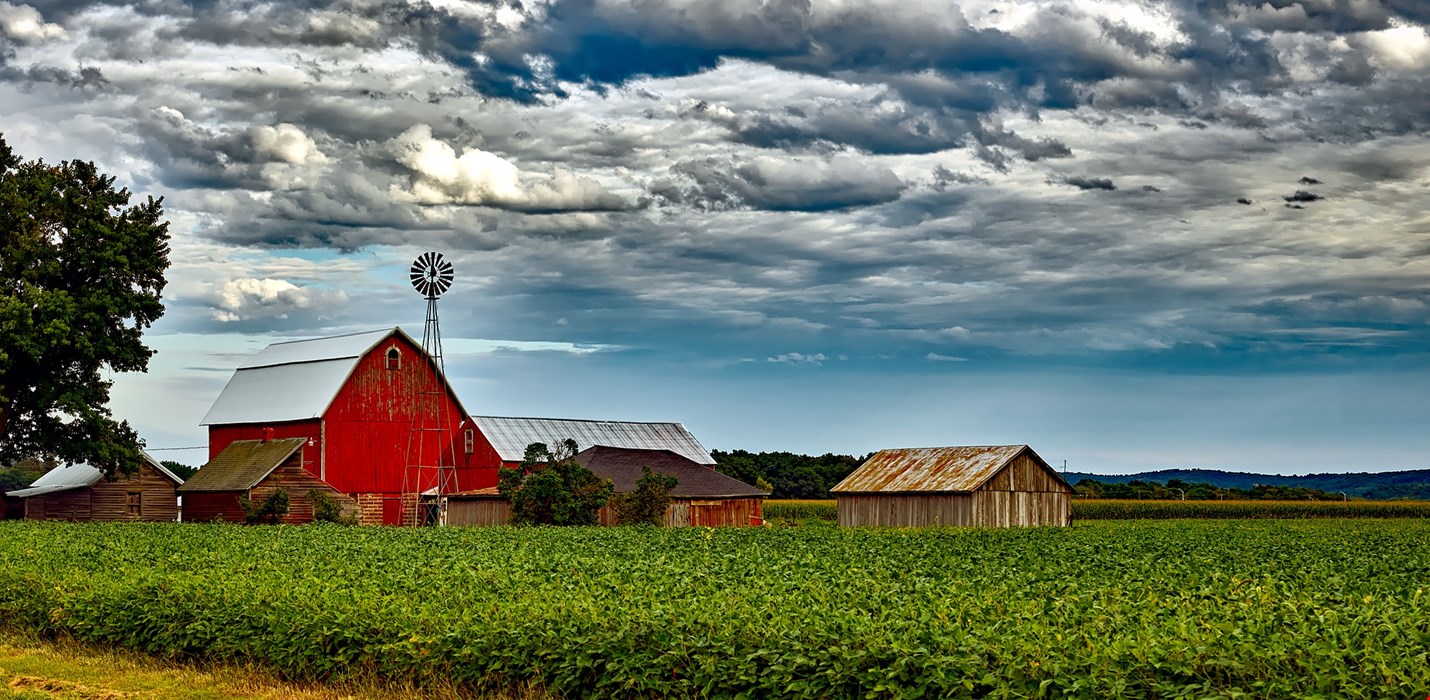 Ensuring Successful Productions of Greenhouse Crops