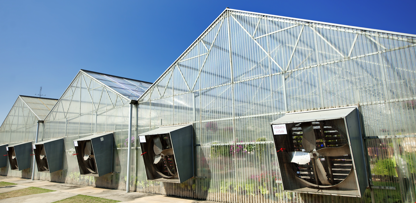 Infographic: Controlling Humidity and Climate in Greenhouses