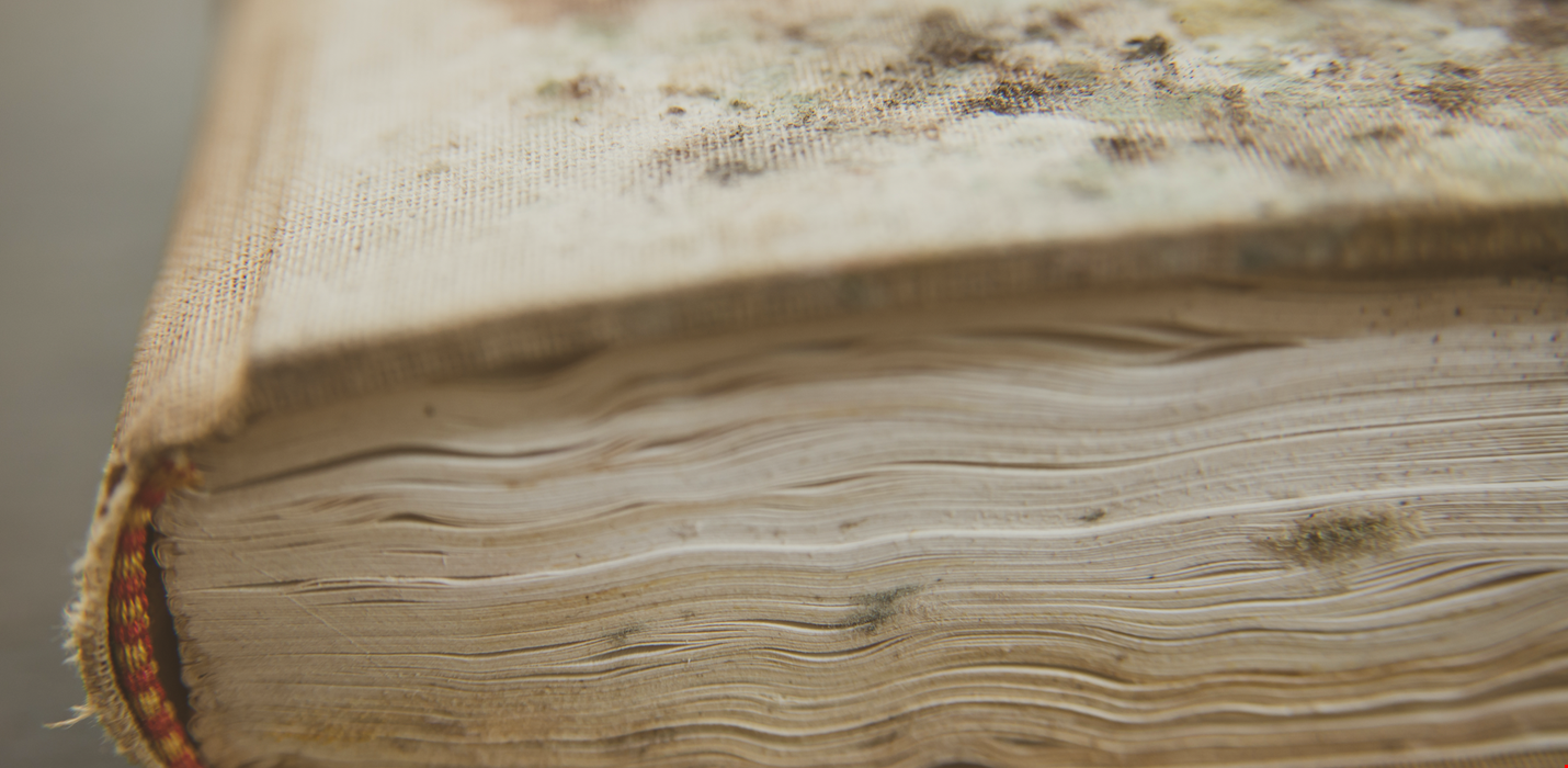 Document Recovery for Books, Papers, and Files After Floods, Fires, and Water Damage