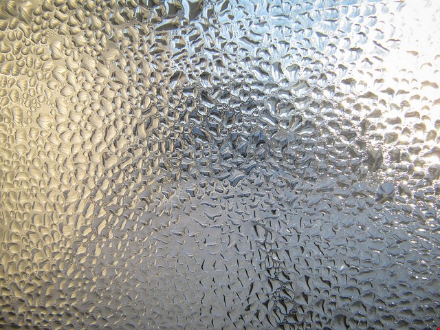 Critical Equipment for Preventing Moisture When School’s Out of Session