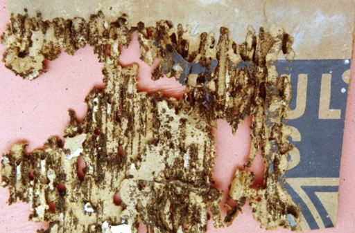 Silverfish Damage.png