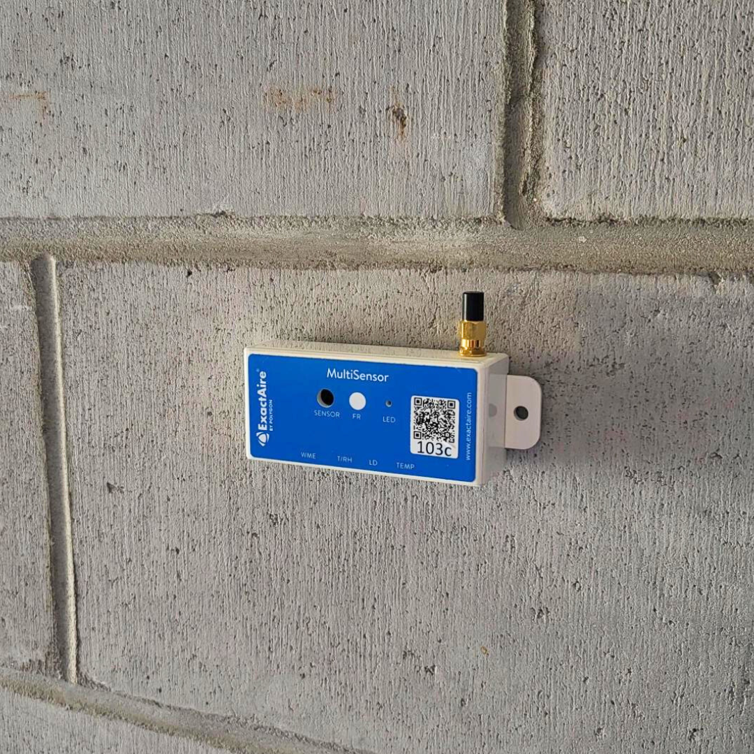 Social Artwork 2024 - 1080x1080 (4).png