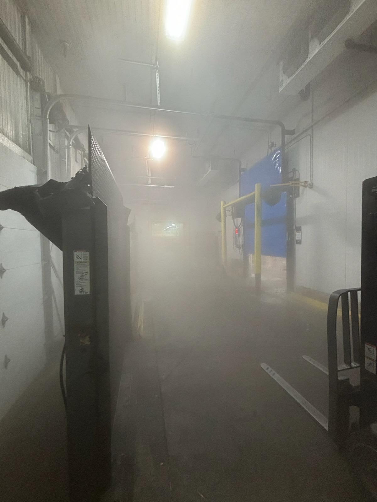 Fog in food plant.jpg