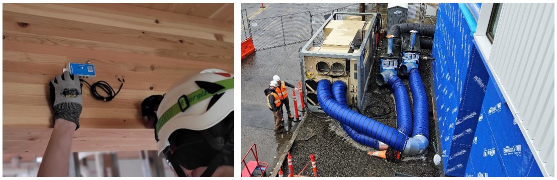 Truebeck Timberview Polygon Solution.jpg