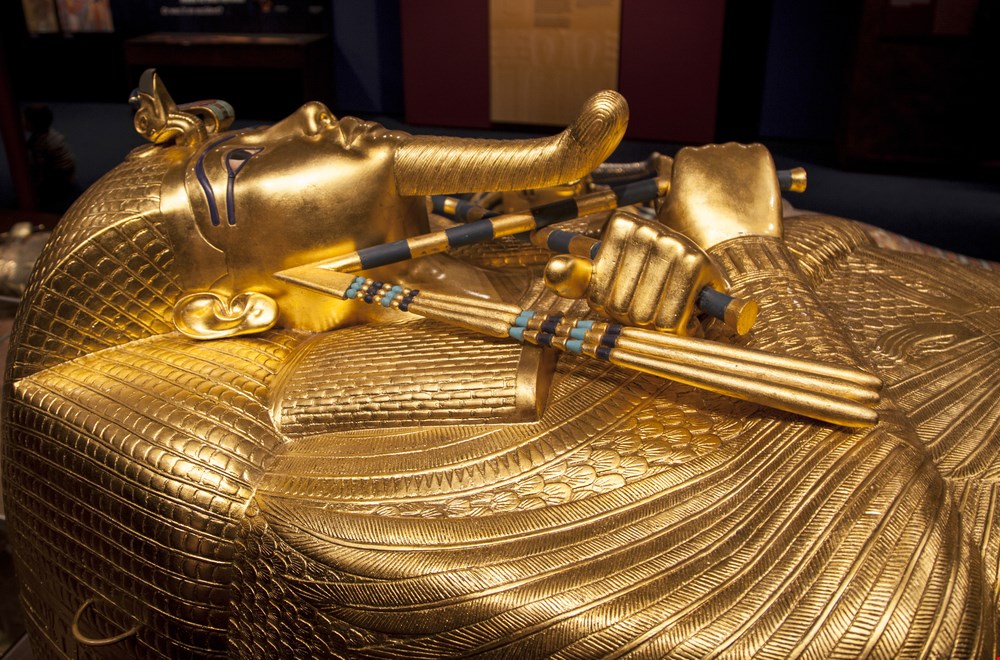 King Tut, Museum Storage & Climate Control Solutions