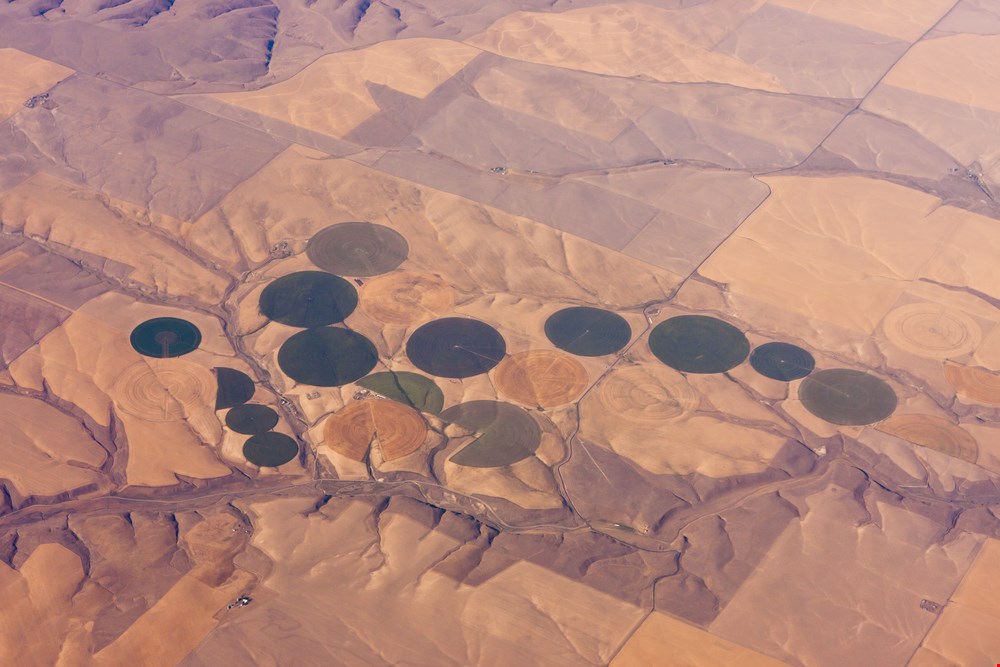 Climate Control a Hot Topic for Desert Farmers & Food Industry