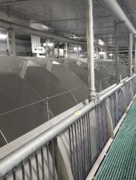 Untitled design (31).png