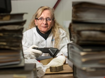 Gebäude und hausratsanierung