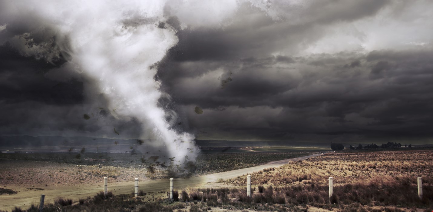 Robots to the Rescue