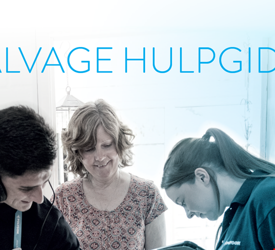 Polygon Salvage Hulpgids na schade