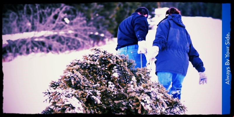 Haal de kerstsfeer in huis met een boom van Polygon!