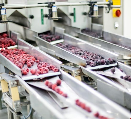 Voor de productie van voedingsmiddelen is het juiste klimaat van groot belang