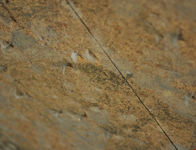 Ernstige schimmelgroei op muur in woning