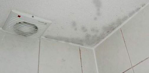 Schimmel in badkamer - Polygon