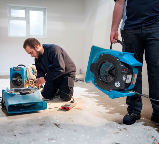 Polygon verwijderd waterschade en lost vochtproblemen zoals schimmel op.