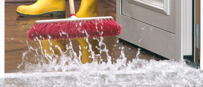 Waterschade Polygon Waterschade Polygon