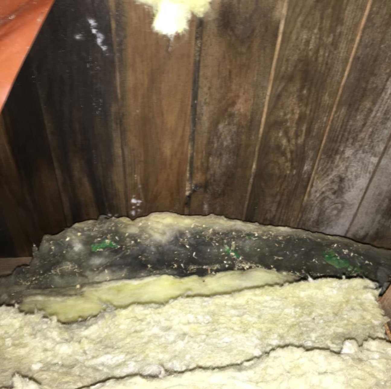 rakennusvirheest&auml; johtuva kosteusvaurio_polygon