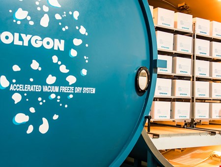 Putkivuodossa kastuneen paperiarkiston kuivaus