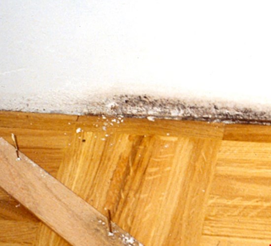 Kosteusvaurio - Polygon on kokenut kosteusvaurioiden korjaaja.