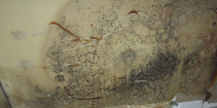 kosteusvaurio sein&auml;ss&auml;_polygon