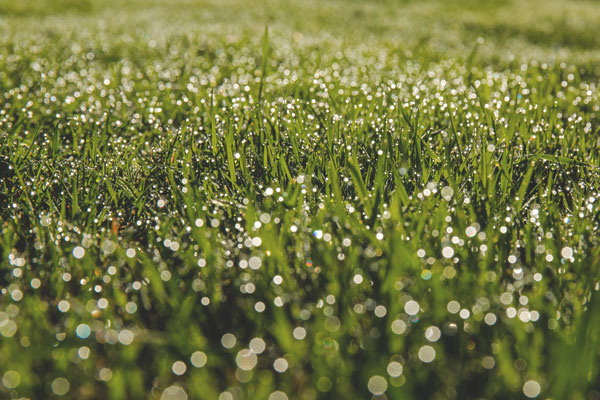 tarkista salaojat vuosittain polygon